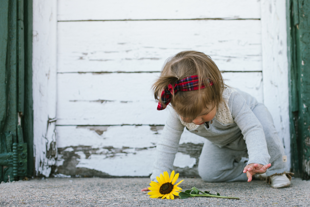 barn baby (blog) (61 of 67)
