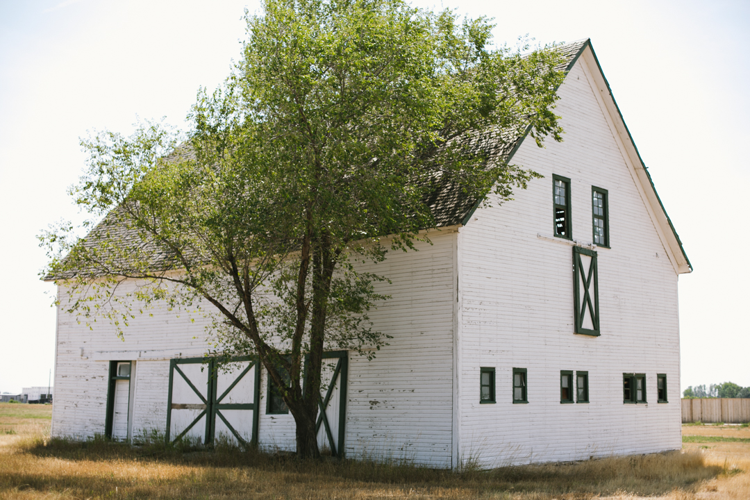 barn baby (blog) (62 of 67)