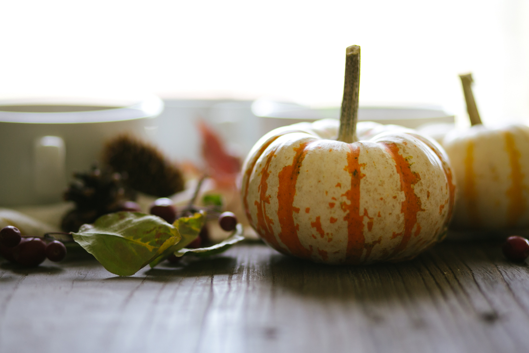 butternut-squash-soup-blog-6-of-19