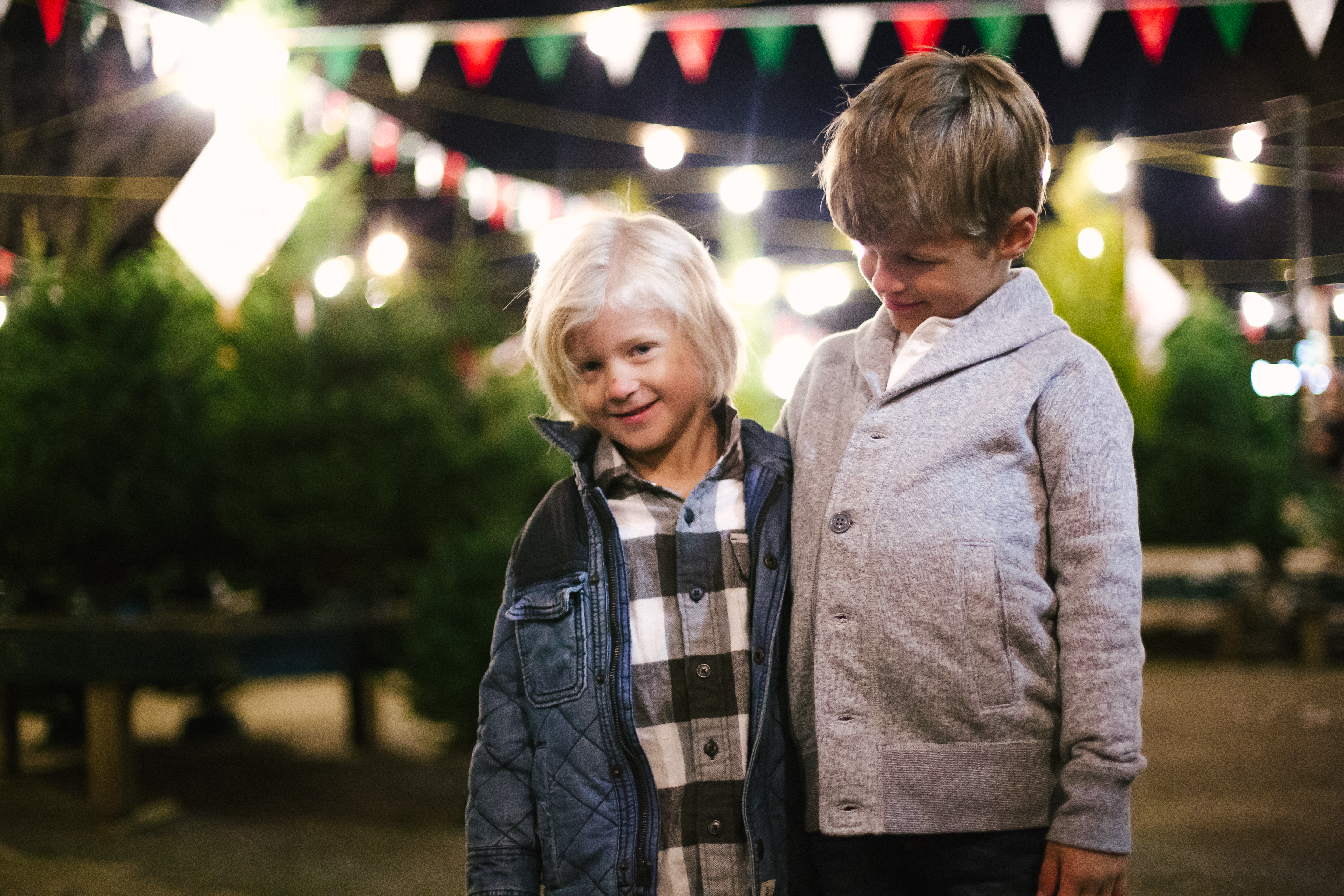 thymes-fraiser-fir-blog-1-of-8