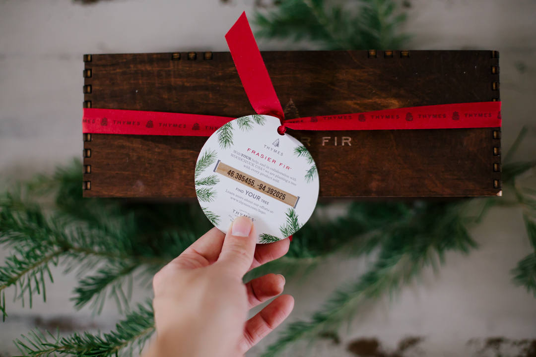 thymes-fraiser-fir-blog-10-of-10