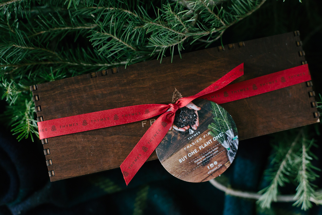 thymes-fraiser-fir-blog-4-of-10