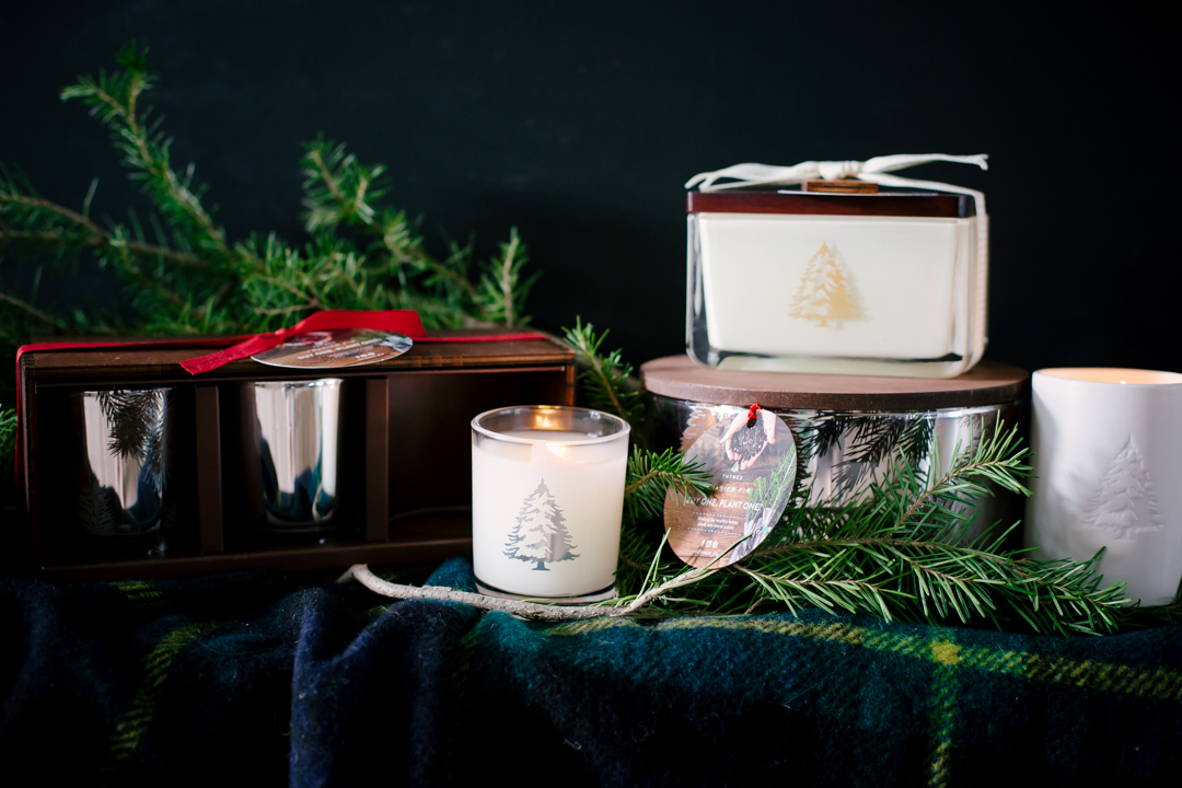 thymes-fraiser-fir-blog-5-of-10