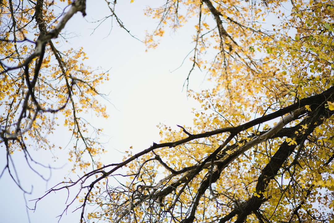 ryan-missy-fall-16-blog-27-of-42